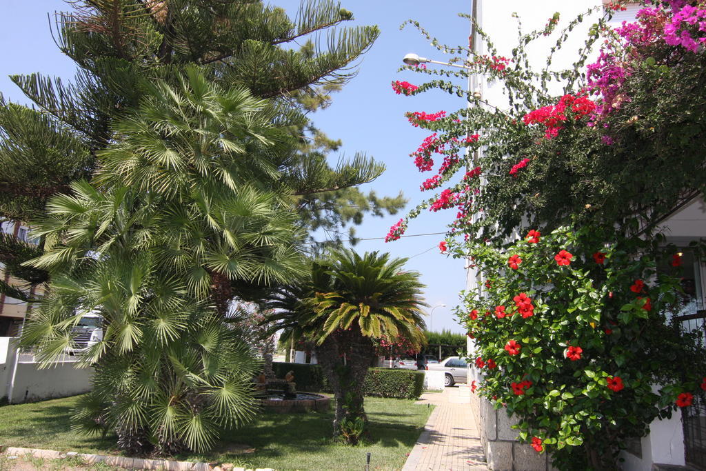 Hotel Sol Benicarlo Luaran gambar